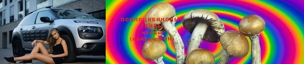 амфетамин Богданович
