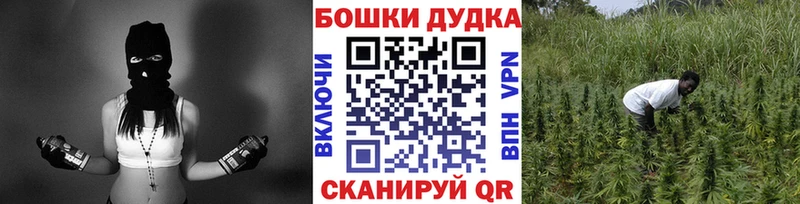 Каннабис Bruce Banner  МЕГА ССЫЛКА  Мещовск  закладки 